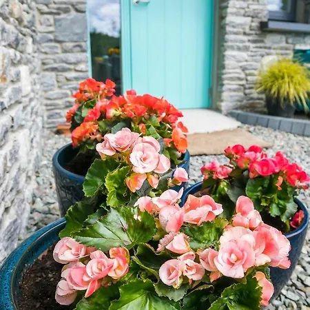 公寓 The Beeches *