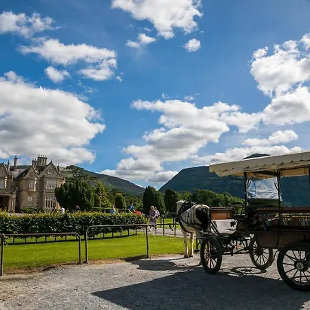 Apartman The Beeches Cill Airne