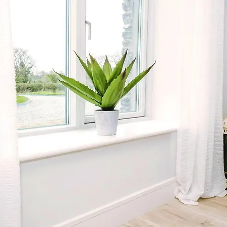 Apartamento The Beeches *