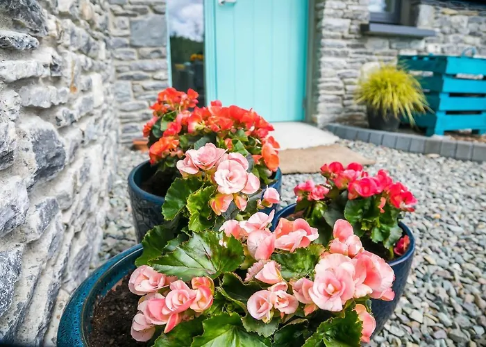 Апартаменты The Beeches *