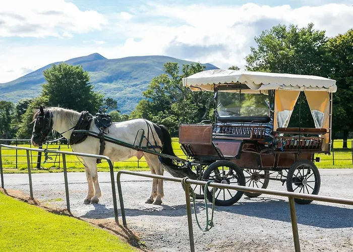 The Beeches Апартаменты *