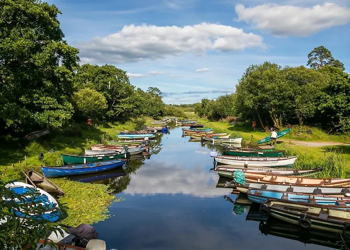 The Beeches キラーニー