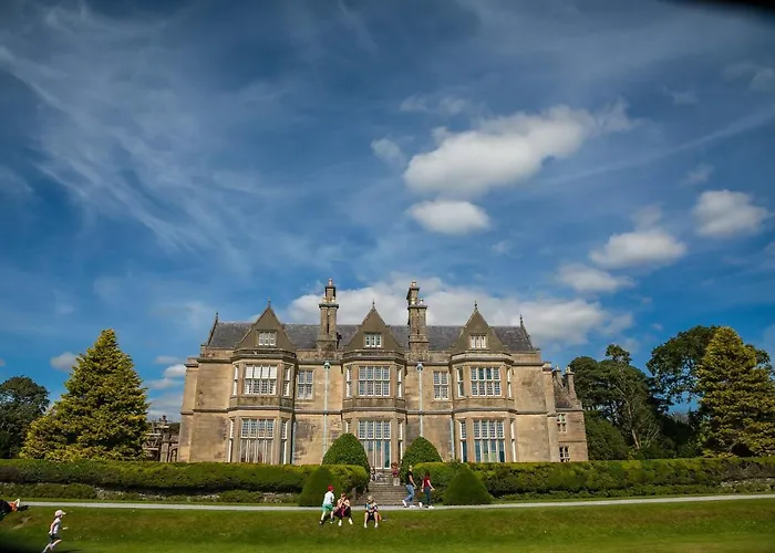 Апартаменты The Beeches *