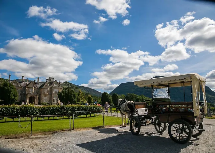 Апартаменты The Beeches Килларни