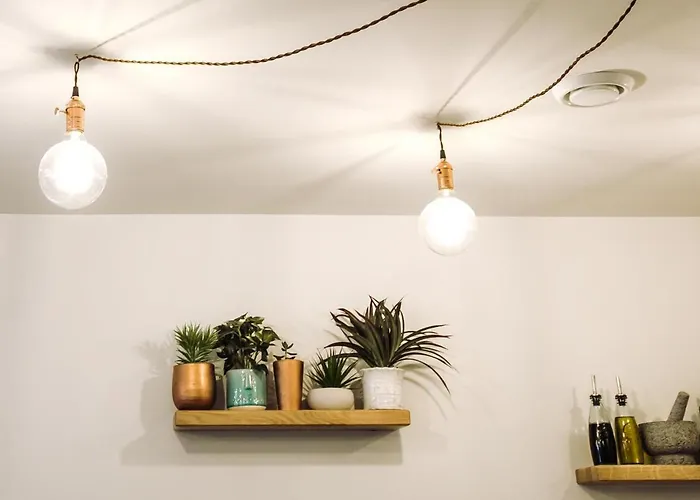 The Beeches アパート キラーニー