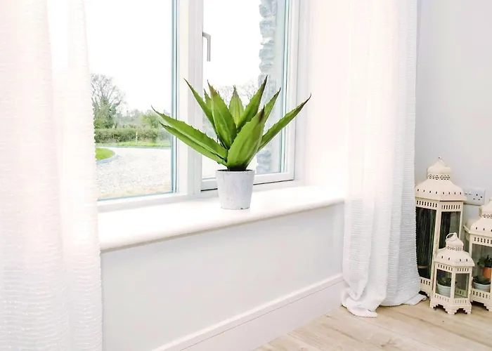 アパート The Beeches *